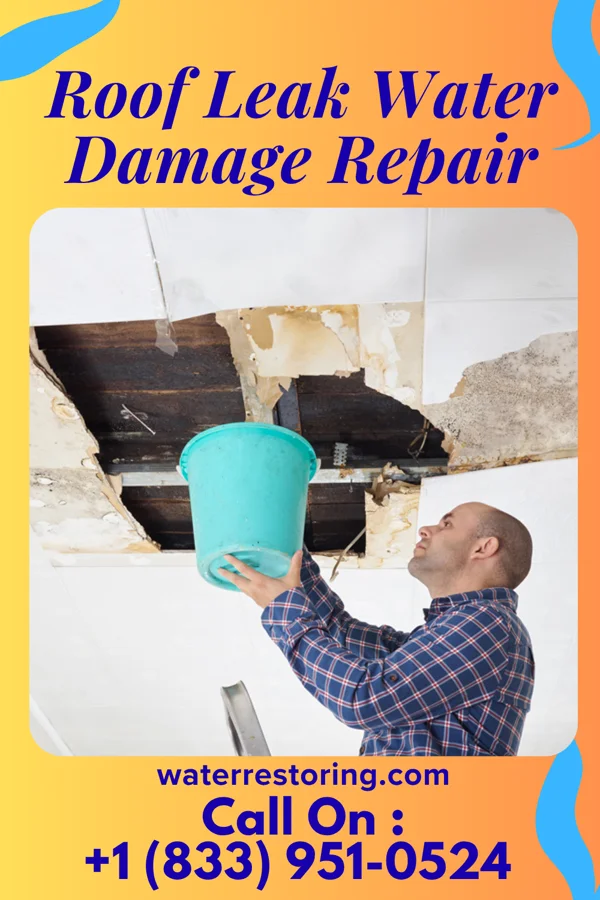 Roof Leak Water Damage Repair in Maquon, IL