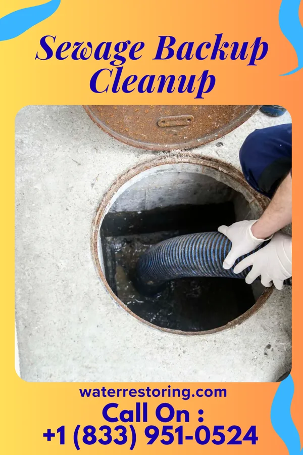 Sewage Backup Cleanup in Maquon, IL